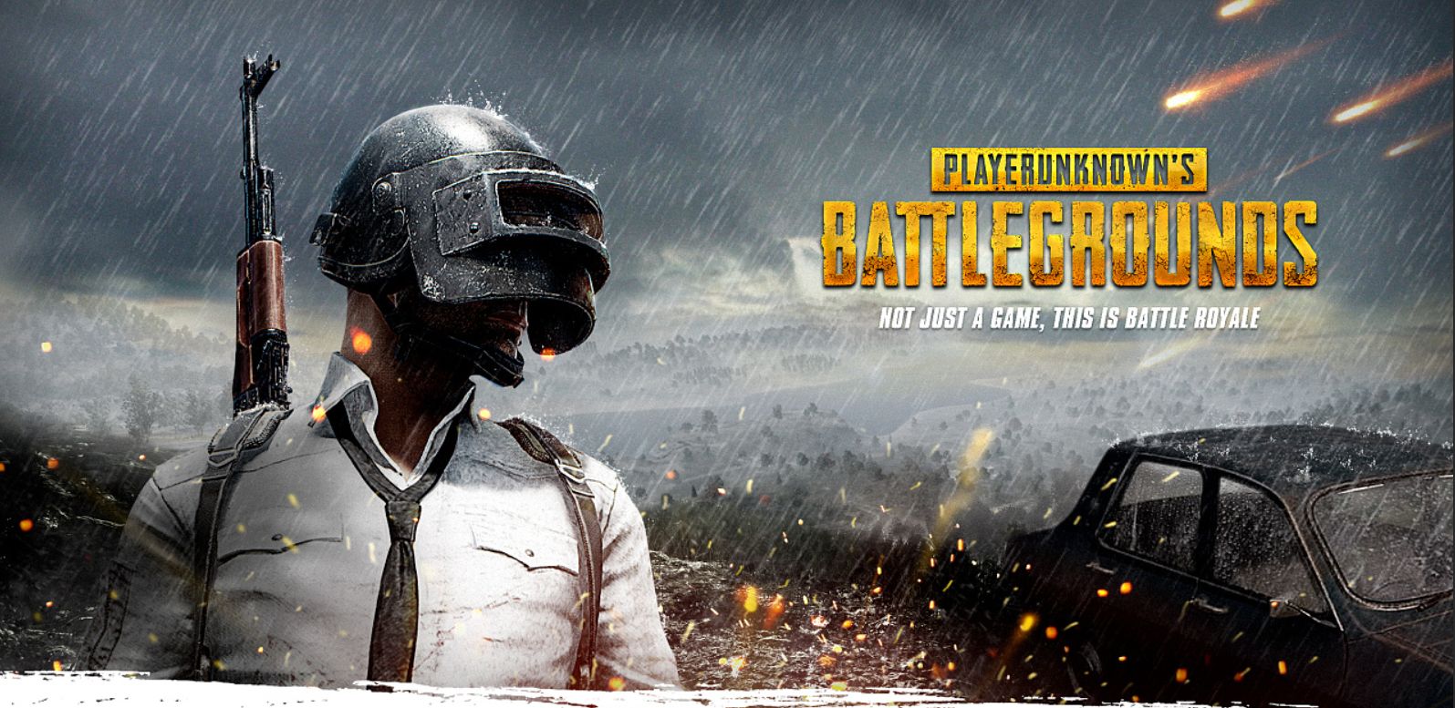 职业生涯的 职业生涯的