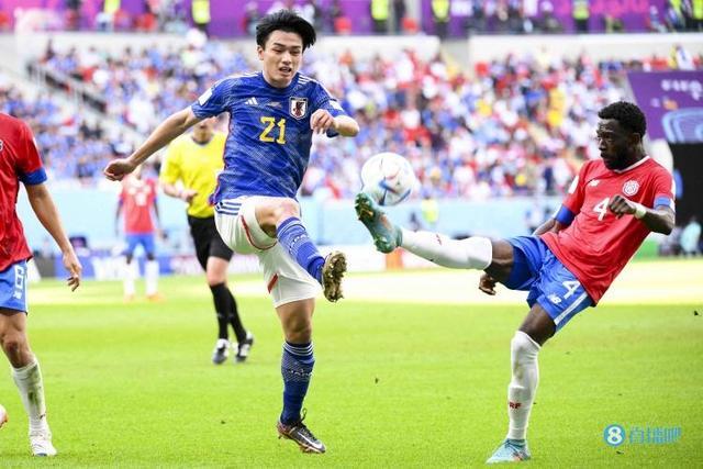 贴合呈现 贴合呈现